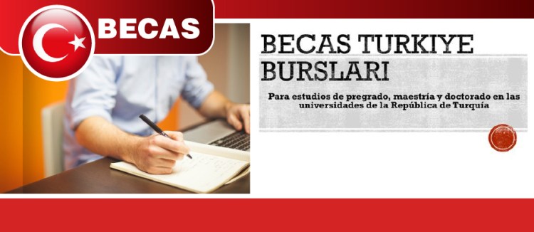 becas-turquia-import